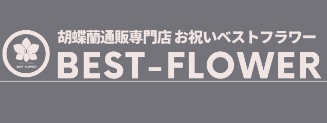 胡蝶蘭専門サイト